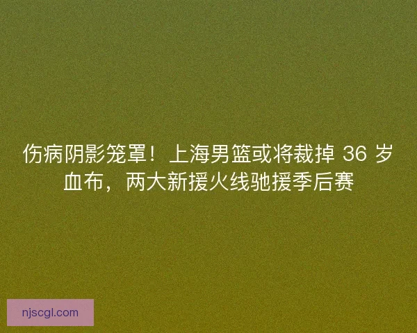 伤病阴影笼罩！上海男篮或将裁掉 36 岁血布，两大新援火线驰援季后赛