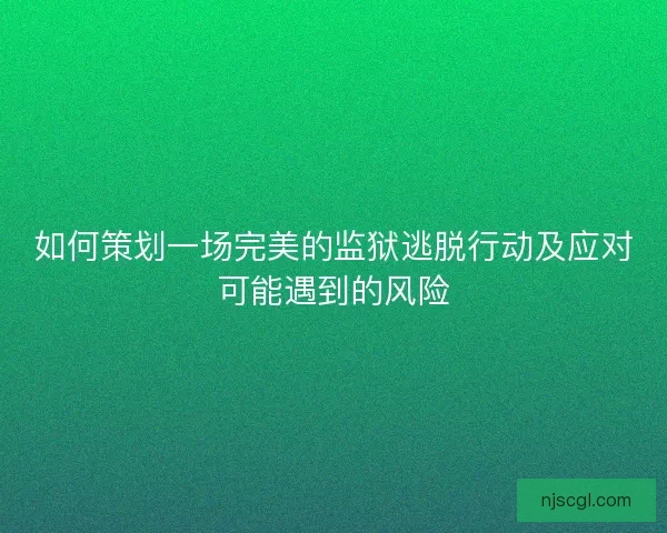 如何策划一场完美的监狱逃脱行动及应对可能遇到的风险