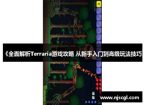 《全面解析Terraria游戏攻略 从新手入门到高级玩法技巧》